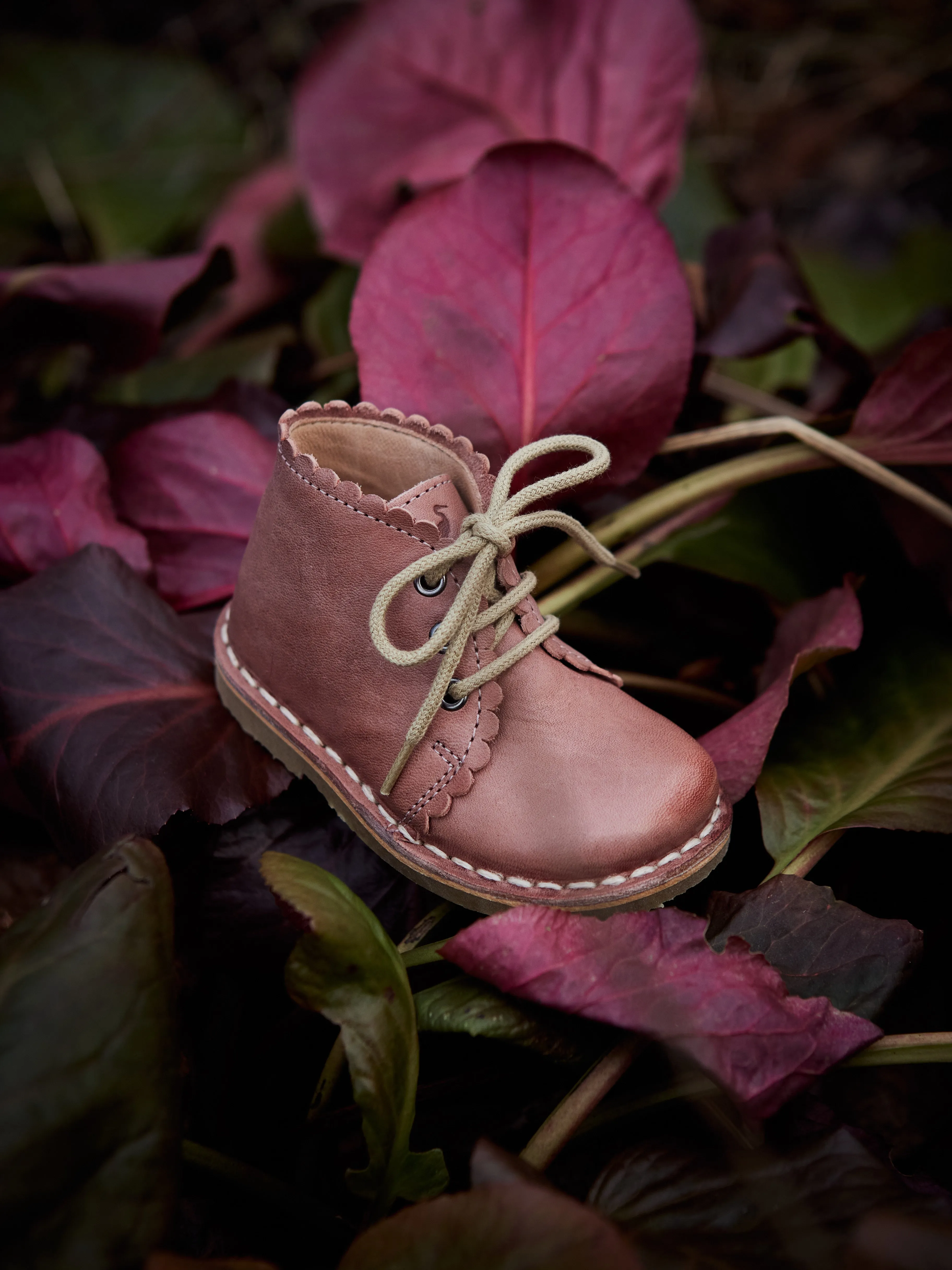 Scallop Boot - Old rose